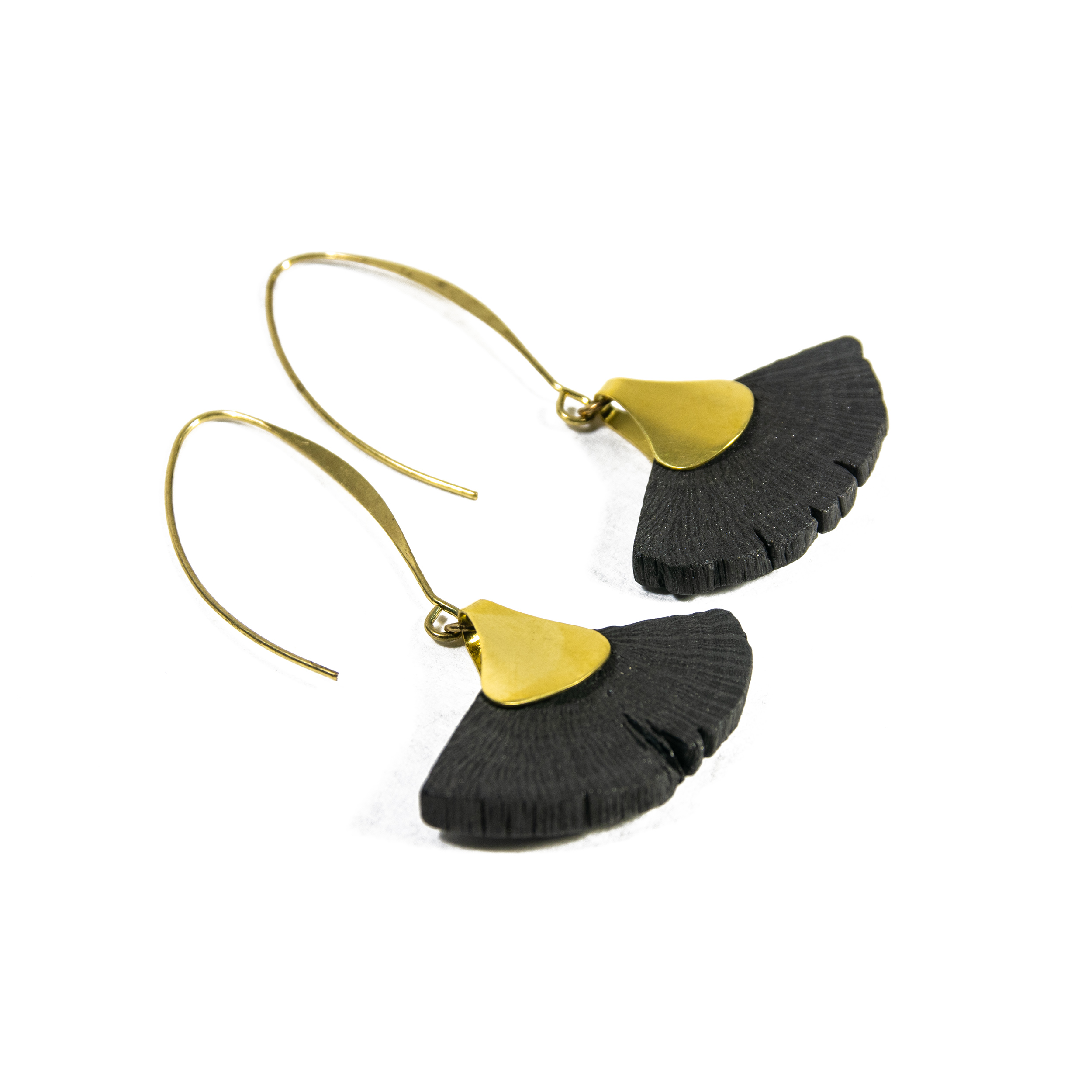 HIME-SASHI-DAI-GINKO-6-9577 HIME-SASHI-DAI-GINKO-6